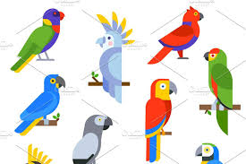 Animated Birds Of The Same Feather Flock Together Pin On Illustrations
