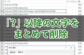 エクセル時短 まさに一瞬 セル内の 以降をまとめて削除するワイルドカード活用法 エクセル時短 できるネット