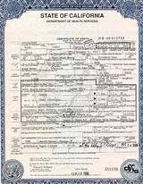 Drivers License Fake Drivers Birth Certificate Template Fake Birth Certificate Birth Certificate