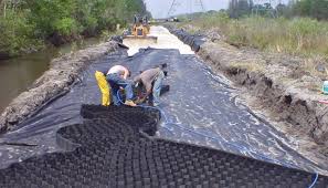 We did not find results for: Brooker Creek Preserve Wetland Stream Restoration Turnbull Environmental Inc