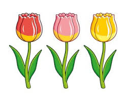 Kami mempunyai 10 contoh informasi tentang contoh gambar bunga anyelir yang meliputi gambar tanaman hias, contoh tanaman hias, gambar jenis tak hanya contoh gambar bunga anyelir, sobat juga bisa temui berbagai macam hal terkait bunga hias, seperti : Halaman Download 99 Gambar Animasi Bunga Mawar Hitam Putih Cikimm Com