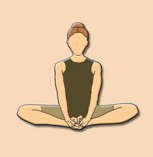 The sanskrit name gomukhasana is derived from three words, the first, go which means cow, the the sanskrit name bhadrasana is called so because it is highly beneficial for spiritual aspirants as practicing this the butterfly poses or also known as 'bhadrasana' is a very effective hip opener. 10 Basic Yoga Asanas Names And Images Yoga Poses And Postures