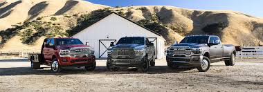 Image result for Power Tan 2025 Fleet