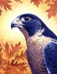 falcon by alanpaints on deviantart falcon art art bird art