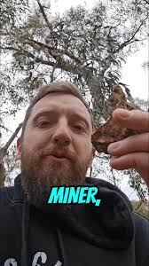 Vo-Gus Prospecting added a new photo.