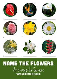 Name The Flowers Visual Quiz 1 Flower Games Flowers Senior Activities