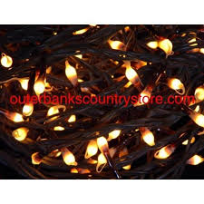 Brown Wire Silicone Tip Rice Teeny Bulb Lights 140 Ct Multi Function Rice Lights Bulb Lights