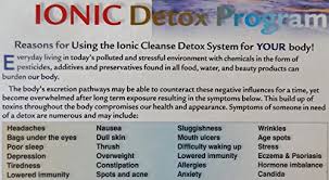 Better Health Company Ion Detox Ionic Foot Bath Spa Chi