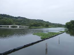 pin by anthony tsou on beautiful view in 2020 beautiful views outdoor river