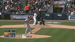 No one does that to the captain. Drawn To Mlb Birds Of A Feather Make Incredible Catches