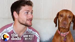 Drew Dog's Instagram, Twitter & Facebook