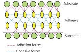 For example, let us consider a methane molecule i.e.ch 4. Adhesion Cohesion