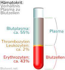 Blutbestandteile