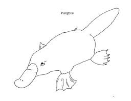 Duck Bill Platypus Worksheets Teaching Resources Tpt Download 388 platypus drawing stock illustrations, vectors & clipart for free or amazingly low rates! duck bill platypus worksheets
