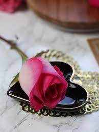 We did not find results for: 350 Romantic Rose Pictures Hq Download Free Images On Unsplash