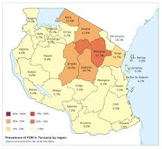Map of tanzania shows its capital, regions, cities, roads, airports, rivers. Tanzania28 Too Many
