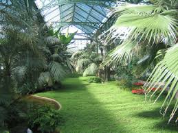 See all things to do. Tier Und Pflanzenpark Wilhelma Medienwerkstatt Wissen C 2006 2021 Medienwerkstatt