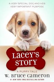 LACEY'S STORY