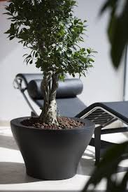 Beautiful Designer Big Low Planters With Wheels Online At Potstore Co Uk Home Spa Treatments Spa Treatments Planter Design