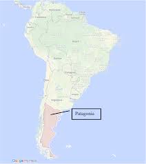 Frontier Justice: State, Law, and Society in Patagonia, 1880-1940 By Javier  Cikota A dissertation submitted in partial satisfact