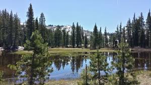 Easy highway access close to nevada city pioneer trail. Best Camping Trails In Nevada City California Alltrails