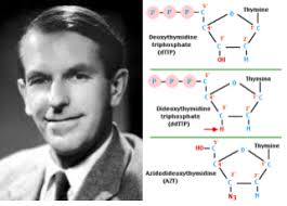 DNA Discovery Timeline