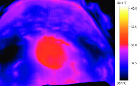 But Can I Touch It? #Ad #Stem Source: “What Color Is The Hottest Fl... |  Purple Flame | Tiktok