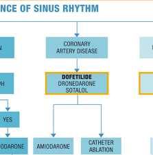 Image result for Dofetilide