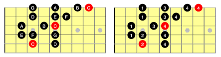 Scales always follow a pattern. How To Play The Major Scale Guitar Guide For Beginners And Intermediate Guitarhabits Com