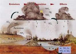 Begini proses pembentukan hujan buatan yang perlu kamu tahu ketahui proses hujan buatan untuk padamkan api karhutla Proses Terjadinya Hujan Asam Serta Dampaknya Pollution Environment Environmental Chemistry Rain