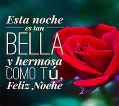 Imagenes De Rosas Rojas De Buenas Noches Rosas De Amor En 2021 Rosas De Buenas Noches Frases De Amor Complicado Frases Bonitas Para Enamorados