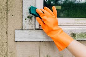 One of the easiest ways of getting rid of mold is to dry the fabric out and leave it in the sun. How To Clean Mold Off Wood