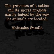 We ve got 104 images about quotes about animals rights including pictures, pictures, photos, wallpapers, and much more. Pawprintghandi Men S Value T Shirt Gandhi Animal Quote Light T Shirt By Sibling Gifts Advocacy Shirts Stickers More Cafepress Animal Quotes Quotes Dog Quotes