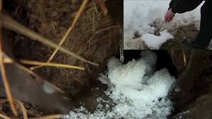 Gopher holes and mounds are the main indications of gopher presence in your yard, although they can cause some other damage as well. Gopro Down The Gopher Hole Youtube
