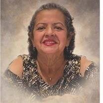 Enedina Margarita Vera Obituary (2025)