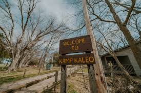 Image result for Kampochloa