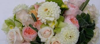 Check spelling or type a new query. My Secret Garden La Reviews Facebook
