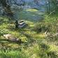 Sussex Wildlife Trust event image