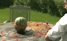 The pair appeared to have used up two boxes of 200g rubber bands, which comes up to an estimated number of at least 800 rubber bands. Loading Funny Gif Gif Watermelon