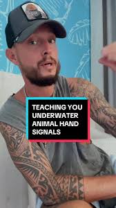 Learn Underwater Animal Hand Signals with Scuba Dan