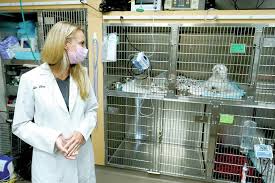 You can expect to be greeted by a courteous receptionist, clean exam. Covid 19 Pet Boom Has Veterinarians Backlogged Burned Out Hawaii Tribune Herald