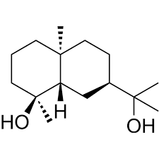 Image result for Laggera crispata