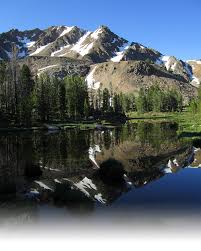Offender Search Idaho Department Of Correction