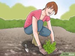 Use garden fencing to close off an area of frequent digging. How To Garden With Pictures Wikihow