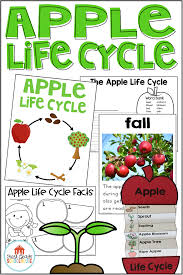Learn About The Growth Of An Apple With This Mini Unit Of Activities That Includes Posters Booklets Vo Apple Life Cycle Life Cycles Beginning Of Kindergarten