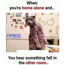 Home Alone Crazy Funny Memes Very Funny Memes Fun Quotes Funny