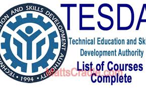 Termaxpro pest control services is a professional pest control company in metro manila, philippines. 201 Tesda Offered Courses Complete List In 2021