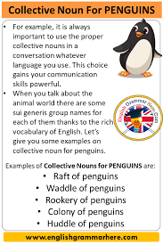 Birdie f english diminutive of bertha, bernice or other names with a similar sound, or sometimes simply from the english word bird. Collective Noun For Penguins Collective Nouns List Penguins English Grammar Here