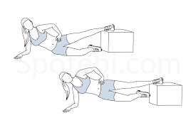 Inner Thigh Raise To Plank Illustrated Exercise Guide