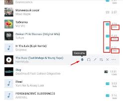 Vk Downloader For Google Chrome Is An Extension For Downloading Music From Vkontakte Extension For Downloading Vkontakte Music In Google Chrome Vk Downloader For The New Version
